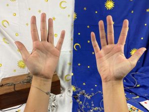 lire sur les lignes de la main