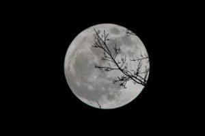 signe lunaire